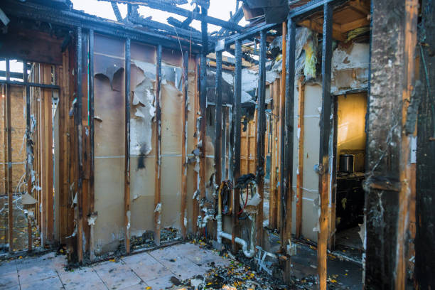 Professional Odor Removal technician working in Lafayette, CA